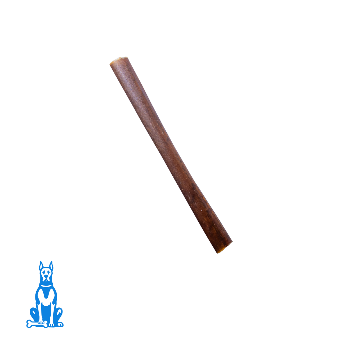 Large 24cm bull pizzle natural dog chew