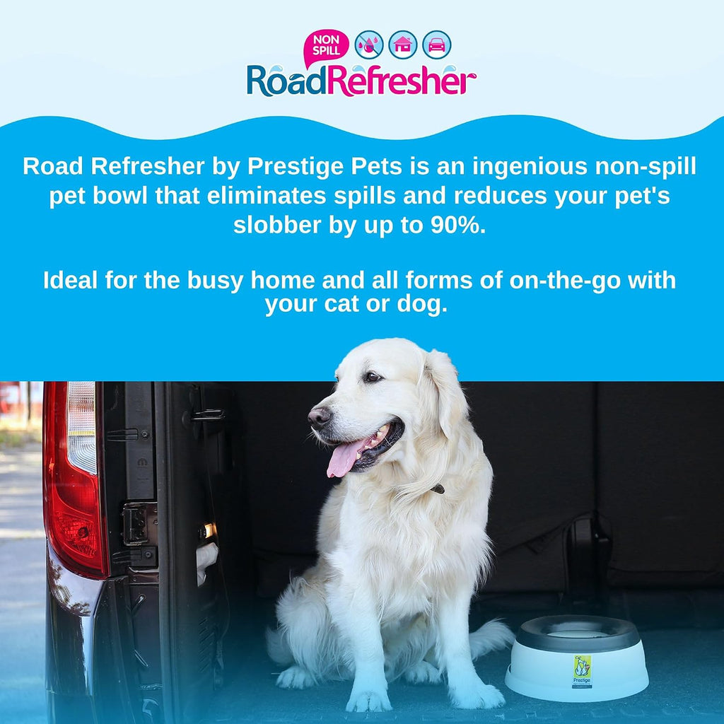 Road Refresher Non Spill Bowl