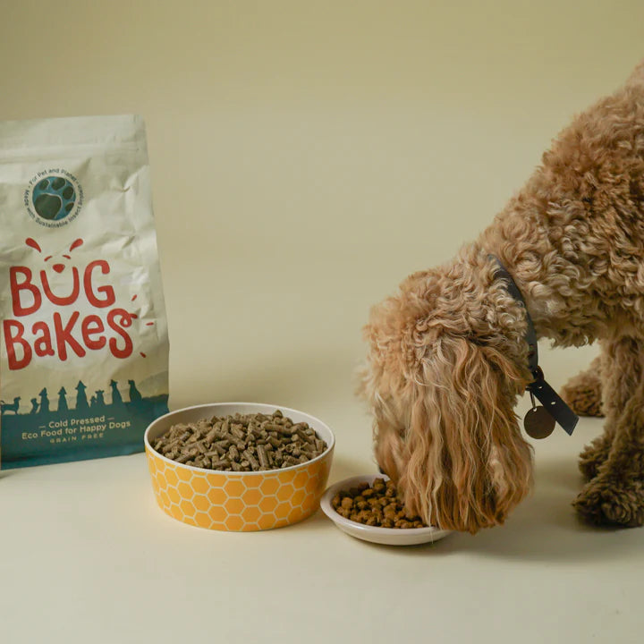 BugBakes Grain Free - Hypoallergenic Cold-Pressed Insect Protein Dry Dog Food (6kg)