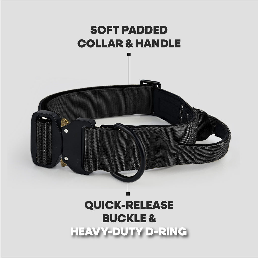 Tactical K9 Collars