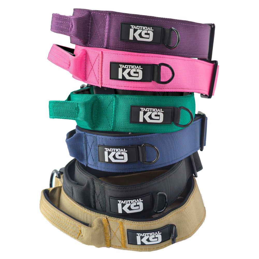 Tactical K9 Collars