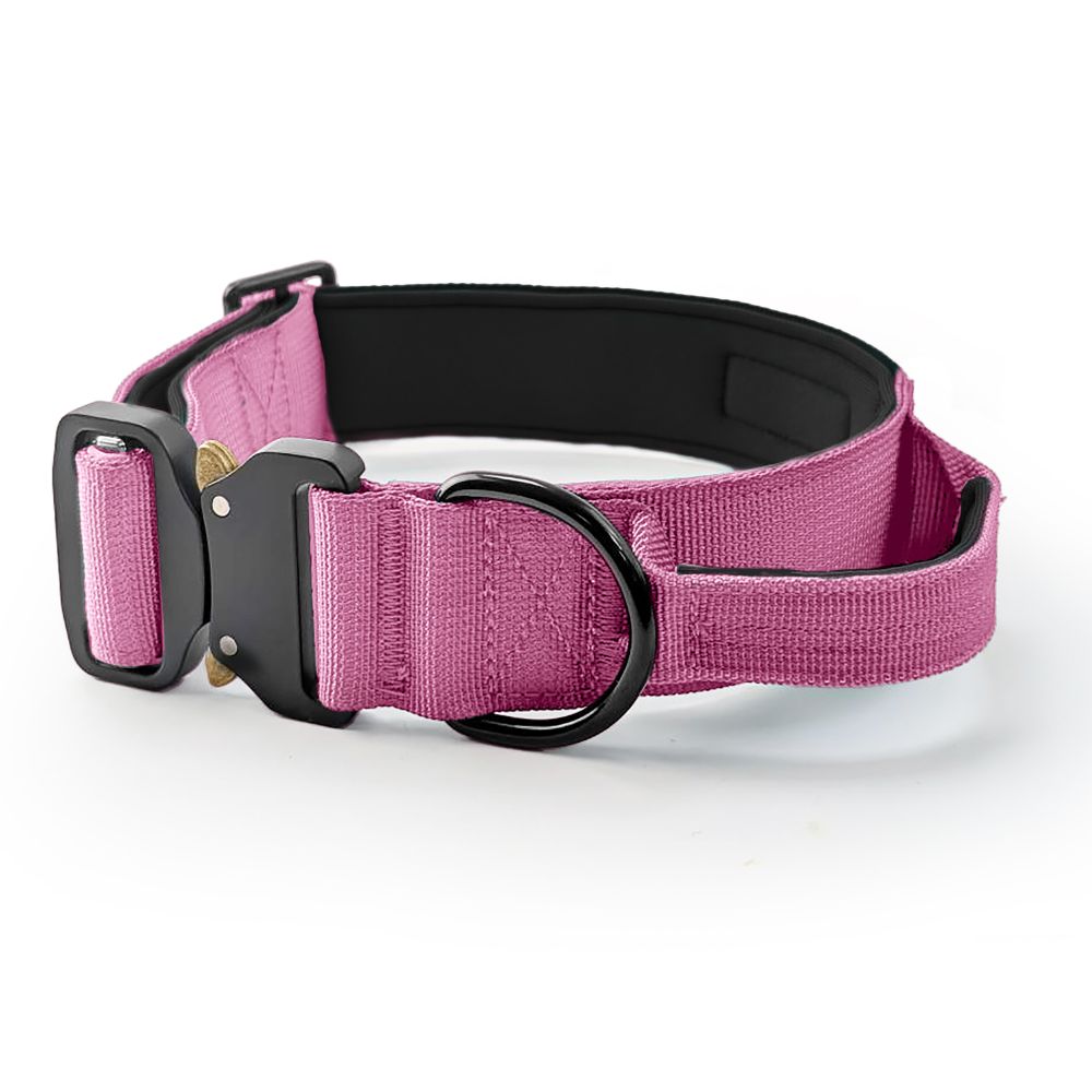 Tactical K9 Collars
