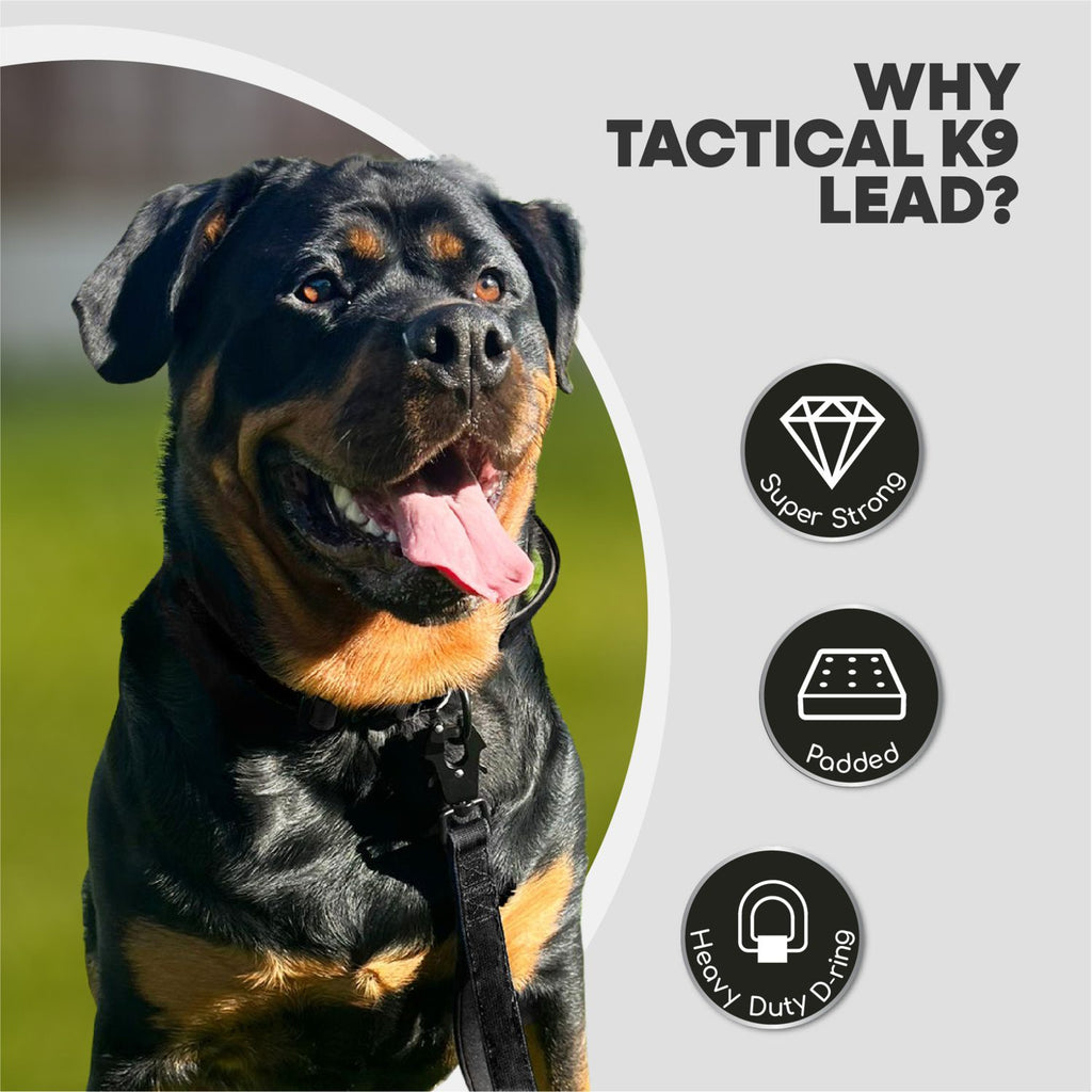 Tactical K9 Leads