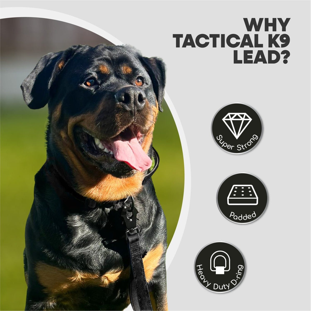 Tactical K9 Leads