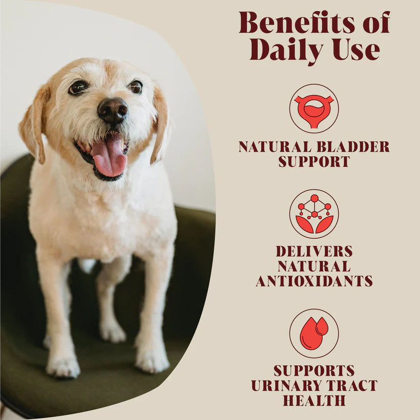 Urinary Cranberry - Hackney Dog House
