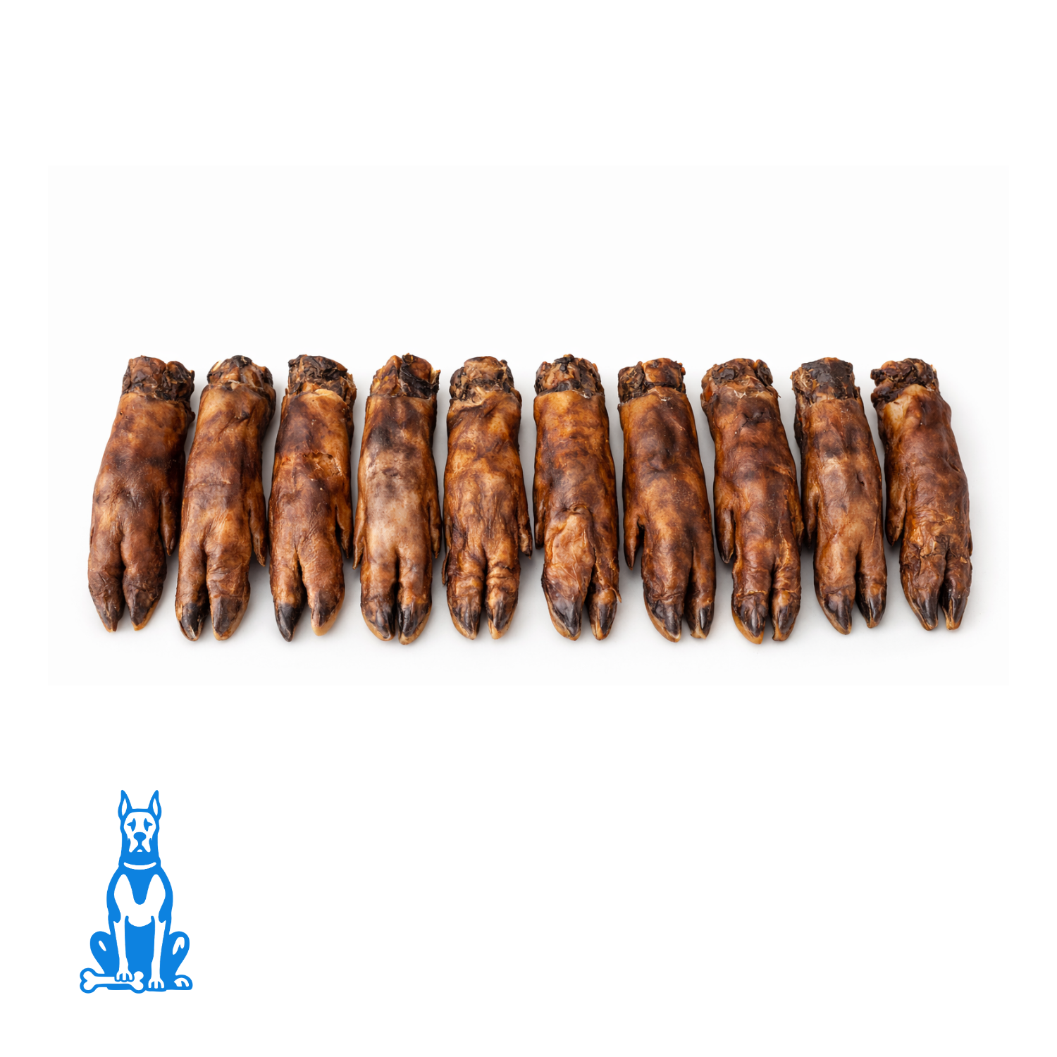 Wild Boar Trotters (10)