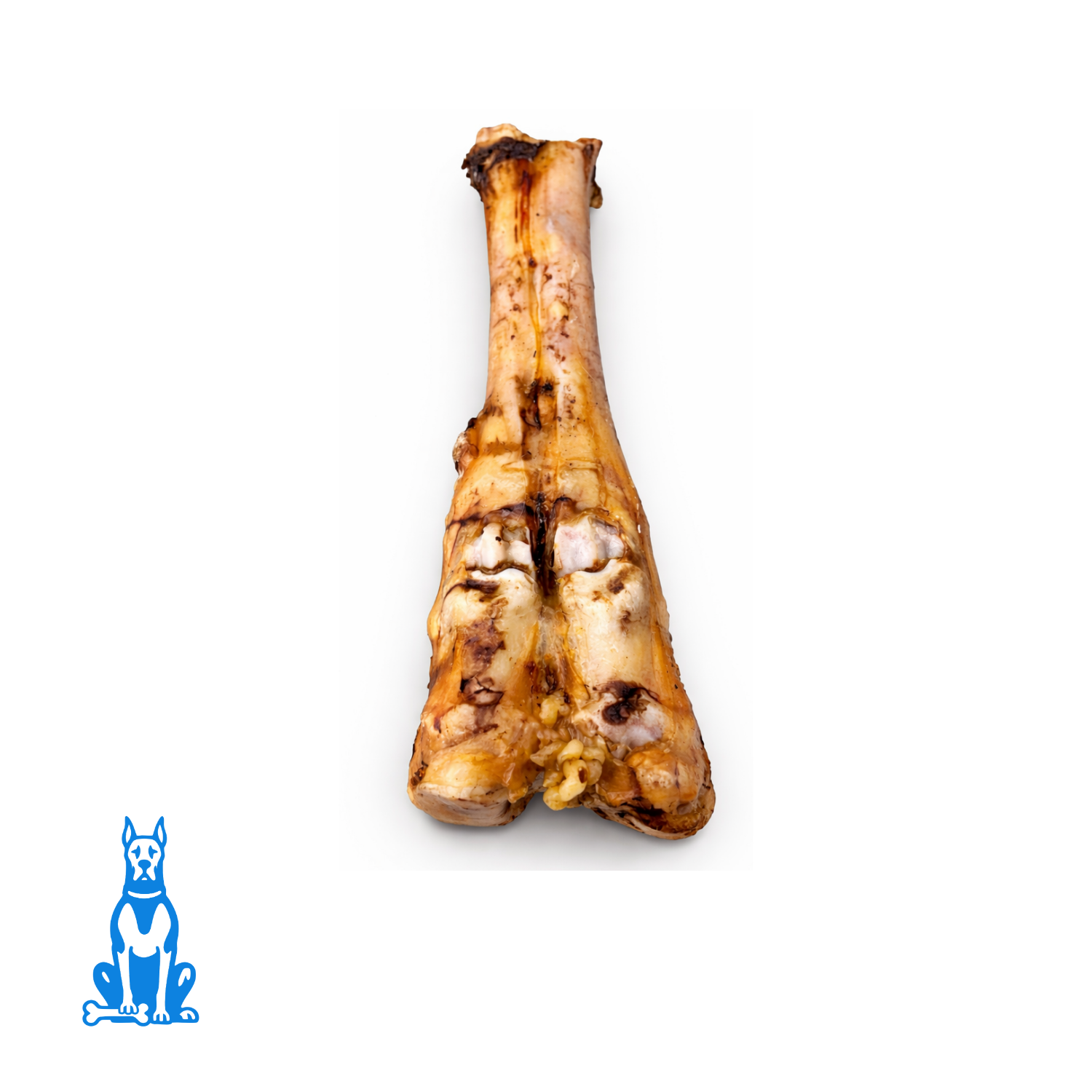 Beef Leg Bone