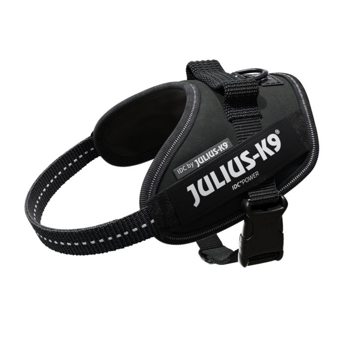 Julius-K9 IDC Powerharness